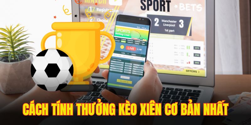 Bỏ túi những phương pháp tính thưởng cược xâu cơ bản